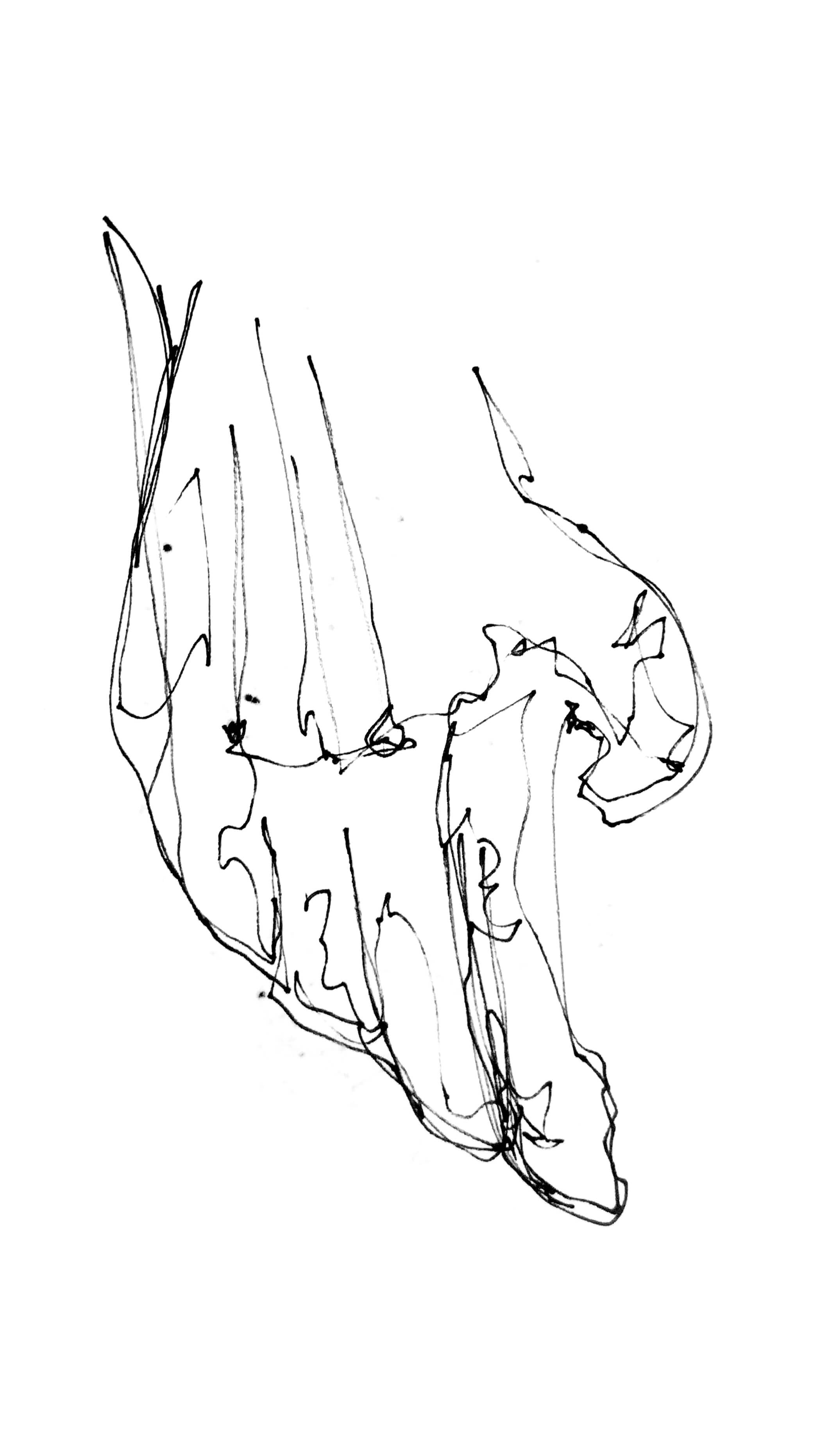 hands